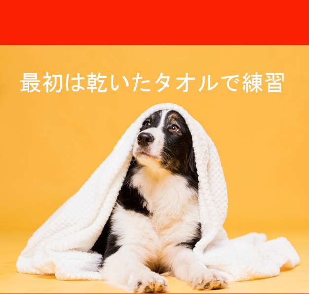 仔犬のケアとお手入れ１